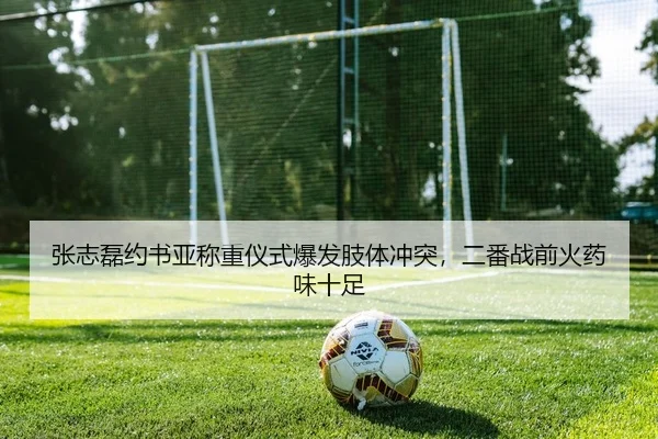 zhang-zhi-lei-yue-shu-ya-cheng-zhong-yi-shi-bao-fa-zhi-ti-chong-tu-er-fan-zhan-qian-huo-yao-wei-shi-zu-2-535.jpg